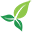 yurimaguas