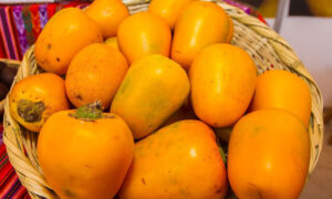 la-cocona-de-la-selva-peruana