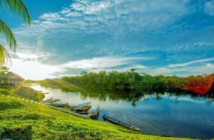 Yurimaguas, La Perla del Huallaga Como llegar a Pacaya Samiria desde Yurimaguas