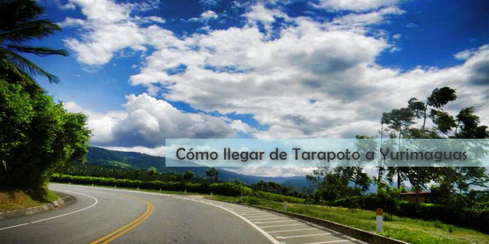 tarapoto yurimaguas